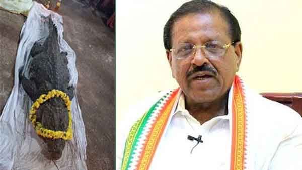 'ബബിയയ്ക്ക് സ്മാരകം നിര്‍മിക്കും, എനിക്ക് മൂന്ന് തവണ ദര്‍ശനം കിട്ടിയിട്ടുണ്ട്..'; രാജ്‌മോഹന്‍ ഉണ്ണിത്താന്‍