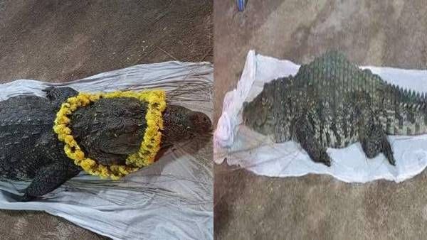 'ബബിയ മുതലയ്ക്ക് നേര്‍ച്ചക്കോഴിയെ കൊടുത്തിട്ടുണ്ട്, ആചാരമായിരുന്നു അന്ന്; സംവിധായകന്‍ പറയുന്നു