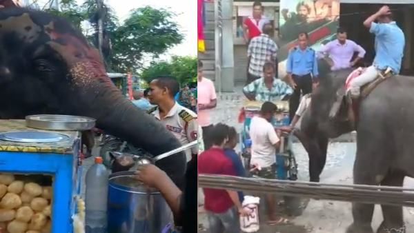 viral video: ആനയ്ക്ക് പാനിപ്പൂരി നല്‍കി കടക്കാരന്‍, ആസ്വദിച്ച് കഴിച്ച് ആന, അസമിലെ വൈറല്‍ കാഴ്ച്ച