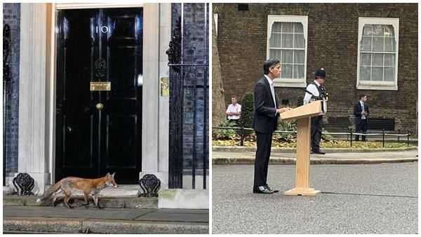 ഡൗണിംഗ് സ്ട്രീറ്റിന് പുറത്ത് കുറുക്കന്‍, തുരത്തിയോടിച്ച് ലാറി പൂച്ച; ഈ കാവല്‍ക്കാരന്‍ ആരെന്നറിയുമോ?