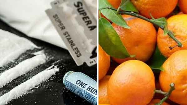 ഓറഞ്ചിനിടയില്‍ ലഹരിമരുന്ന്, കടത്ത് കപ്പല്‍ വഴി..; രാജ്യത്തെ ഏറ്റവും വലിയ ലഹരികടത്തിന് പിന്നില്‍ മലയാളികള്‍