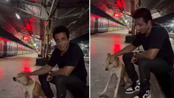 Viral Video- തെരുവ് നായ്ക്കളോട് സ്‌നേഹത്തോടെ പെരുമാറൂ; സോനു സൂദിന്റെ വീഡിയോ വൈറലാകുന്നു