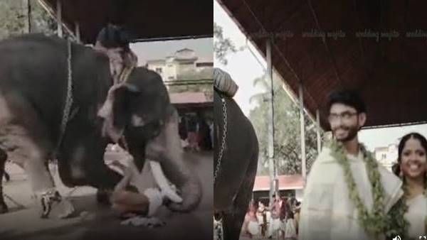 ഗുരുവായൂരില്‍ വിവാഹ ഫോട്ടോഷൂട്ടിനിടെ ആന ഇടഞ്ഞു; പാപ്പാനെ തൂക്കിയെടുത്ത് എറിഞ്ഞു, വീഡിയോ