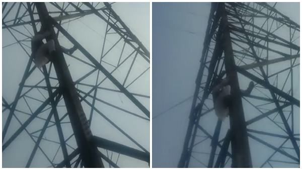 മത്സരിക്കാന്‍ ടിക്കറ്റില്ല; ടവറിന് മുകളില്‍ കയറി ആത്മഹത്യ ഭീഷണി മുഴക്കി എഎപിയുടെ മുന്‍ കൗണ്‍സിലര്‍