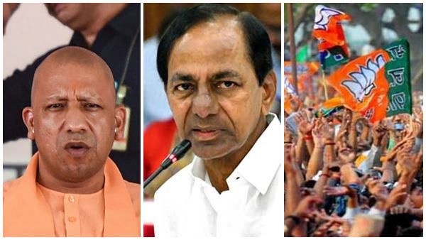 നാല് സീറ്റില്‍ വന്‍ വിജയവുമായി ബിജെപി; മുനുഗോഡെയില്‍ അടിതെറ്റി, ടിആര്‍എസ്സിന് മികച്ച വിജയം