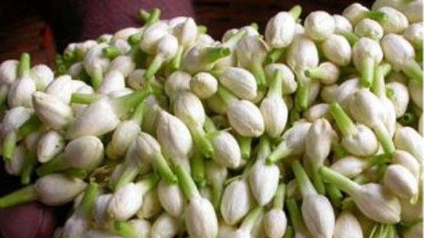 തരിശുനിലത്തില്‍ വീണ്ടും വസന്തം; പൂകൃഷിയില്‍ പെരിങ്കടവിള പഞ്ചായത്തിന്റെ വിജയഗാഥ