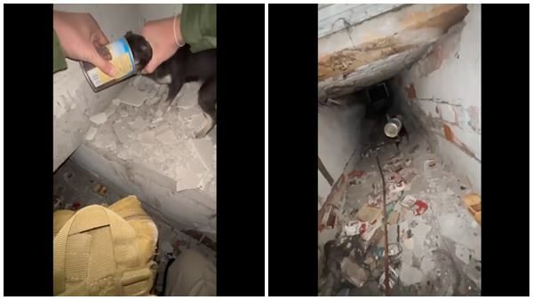 റഷ്യ ബോംബിട്ട് തകര്‍ത്ത വീട്ടില്‍ കുടുങ്ങി നായകുട്ടി, ഓടിയെത്തി രക്ഷിച്ച് യുക്രൈന്‍ വളണ്ടിയര്‍മാര്‍