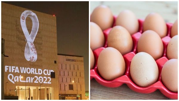 ഖത്തര്‍ ലോകകപ്പിന് നാമക്കല്‍ അയച്ചത് 5 കോടി മുട്ടകള്‍; പക്ഷേ കേരളത്തിന് സാധിക്കില്ല; കാരണം