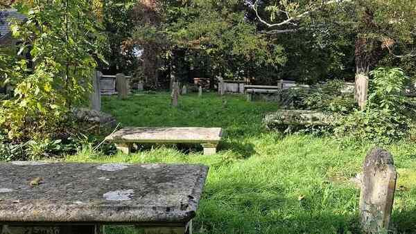 ഇതാ ഒരു കള്ളിപ്പൂച്ച, ഒളിഞ്ഞിരിക്കുകയാണ് ഈ ചിത്രത്തില്‍; കണ്ടെത്താമോ? 9 സെക്കന്‍ഡ് തരാം