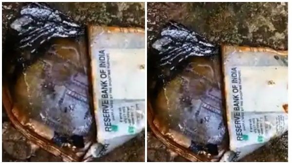 കവുങ്ങിന്‍ തോട്ടത്തില്‍ 500 രൂപയുടെ കെട്ടുകണക്കിന് നോട്ടുകള്‍; അമ്പരന്ന് നാട്ടുകാര്‍; സംഭവമിങ്ങനെ