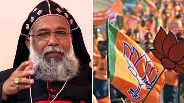 എല്ലാവരുടേയും പൂര്‍വികര്‍ ഹിന്ദുക്കള്‍, ബിജെപിയെ മാറ്റി നിര്‍ത്തേണ്ടതില്ലെന്ന് ക്ലിമ്മിസ് കാത്തോലിക്കാ ബാവ