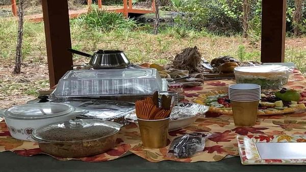 അമ്പമ്പോ അതാ ഒരു മുതല, ഒളിഞ്ഞിരിക്കുകയാണ്; ജീനിയസാണെങ്കില്‍ 13 സെക്കന്‍ഡില്‍ കണ്ടെത്തണം