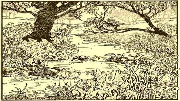 നല്ല പെടയ്ക്കണ മീനല്ലേ അത്; കാണാന്‍ സാധിക്കുന്നില്ല, ഒളിച്ചിരിക്കുകയാണ്, 13 സെക്കന്‍ഡില്‍ കണ്ടെത്തണം