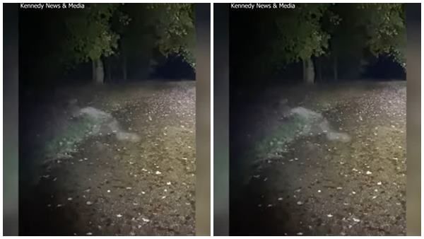 വെളുത്ത പുക പോലുള്ള രൂപം, മനുഷ്യനല്ല; അതിവേഗം ഓട്ടം, പാര്‍ക്കിലെ കാഴ്ച്ചയില്‍ ഞെട്ടി ദമ്പതിമാര്‍!!