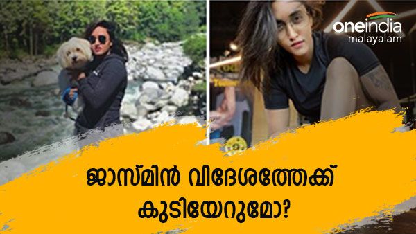 ജാസ്മിന്‍ വിദേശത്തേക്ക് കുടിയേറുന്നോ? ചില പദ്ധതികളുണ്ട്, വിവാഹവും മനസ്സില്‍-താരം മനസ്സ് തുറക്കുന്നു