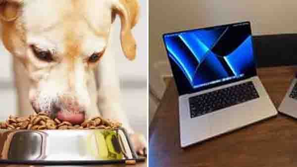 ഓര്‍ഡര്‍ ചെയ്തത് ലക്ഷങ്ങളുടെ മാക്ബുക്ക്, കിട്ടിയത് ഡോഗ് ഫുഡ്..! പരാതി പറഞ്ഞപ്പോളുള്ള മറുപടി കേട്ടോ