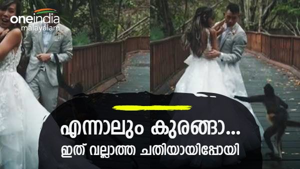 വിവാഹ ഫോട്ടോഷൂട്ടിനിടെ ട്വിസ്റ്റ്; വരന്റെ കയ്യില്‍ വധുവിന് പകരം കുരങ്ങ്, ഒടുവില്‍ സംഭവിച്ചത് കണ്ടോ