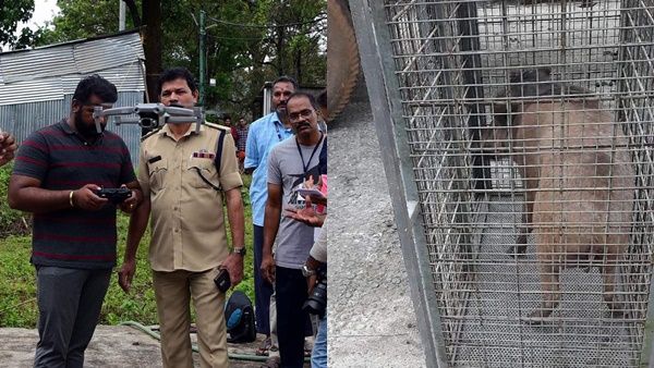 ശബരിമല: നാടുകടത്തിയത് 75 പന്നികളെ, 61 പാമ്പുകളും, സന്നിധാനത്തടക്കം നിരീക്ഷണം ശക്തമാക്കി വനം വകുപ്പ്