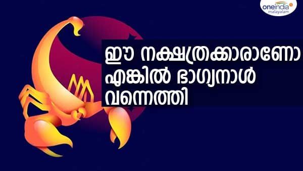 പ്രണയം പൂത്തുലയും, ധനലാഭം, ഇഷ്ടഭക്ഷണം... പങ്കാളിയില്‍ നിന്ന് സന്തോഷവാര്‍ത്ത; ഈ നക്ഷത്രക്കാരാണോ
