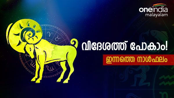 വിദേശത്ത് പോകാൻ ആഗ്രഹമില്ലേ? ഈ നാളുകാർക്ക് ആ ഭാഗ്യം, എല്ലാം അപ്രതീക്ഷിതം, ഇന്നത്തെ നാൾഫലം