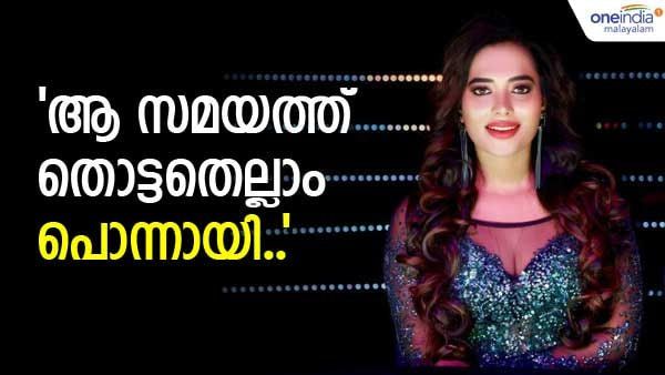 'ആകെ അറിയാവുന്നത് മിലിട്ടറി ആര്‍മി.. ബിഗ് ബോസിന് ശേഷമാണ് വേറെ ആര്‍മിയുണ്ടെന്നറിഞ്ഞത്'; രമ്യ പണിക്കര്‍