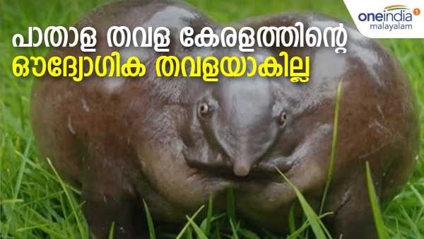 പാതാള തവളയെ ഔദ്യോഗിക തവളയാക്കിയാല്‍ ശരിയാകില്ല; കാരണം ഇതാണ്