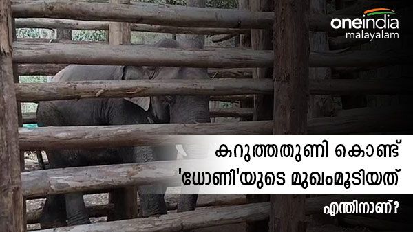 കിടുകിടാ വിറപ്പിച്ച പിടി സെവന്റെ മുഖം കറുത്തതുണി കൊണ്ട് മൂടാൻ കാരണം?