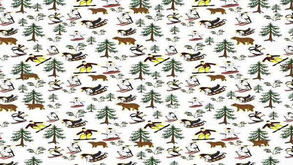 ക്രിസ്മസ് അപ്പൂപ്പനെ പോലൊരു കാടിതാ, ഒളിഞ്ഞിരിപ്പുണ്ട് ഒരു പരുന്ത്; 9 സെക്കന്‍ഡില്‍ കണ്ടെത്തണം