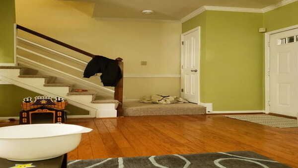 Optical Illusion: അമ്പട വീരാ പൂച്ചക്കുട്ടാ, മുറിയില്‍ ഒളിച്ചിരിക്കുകയാണ്; 9 സെക്കന്‍ഡില്‍ കണ്ടെത്തണം