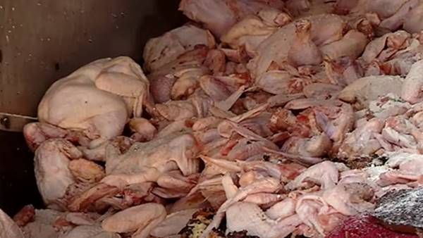 കളമശേരിയിലെ പഴകിയ ഇറച്ചി 49 ഹോട്ടലുകളില്‍ വിതരണം ചെയ്തു; രേഖകള്‍ പുറത്ത്, ഞെട്ടല്‍