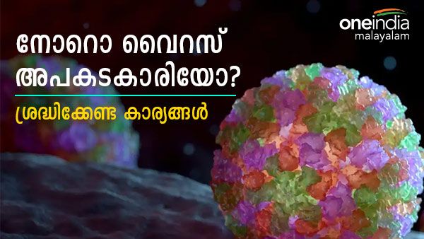 കൊച്ചിയിൽ നോറൊ വൈറസ് ബാധ? ആശങ്ക; നോറോ വൈറസിനെക്കുറിച്ച് വിശദമായി അറിയാം