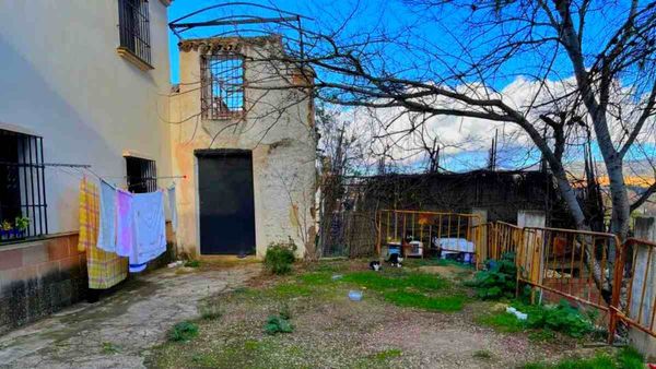 ക്യൂട്ട് പൂച്ചകള്‍ വിരുതന്മാരാണ്, നാലെണ്ണം ഒളിഞ്ഞിരിക്കുന്നുണ്ട്; 15 സെക്കന്‍ഡില്‍ കണ്ടെത്തണം