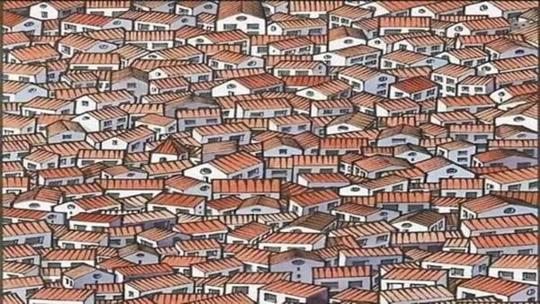 നല്ല അടിപൊളി വീട്; അതാ ഒളിഞ്ഞിരിക്കുന്ന ഒരു സുന്ദരന്‍ പൂച്ച, 5 സെക്കന്‍ഡില്‍ കണ്ടെത്തണം