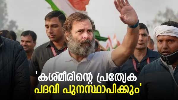 ജമ്മു കശ്മീരിന്റെ പ്രത്യേക സംസ്ഥാന പദവി തിരികെ കൊണ്ടുവരുമെന്ന് രാഹുല്‍; പ്രഖ്യാപനം കശ്മീരില്‍