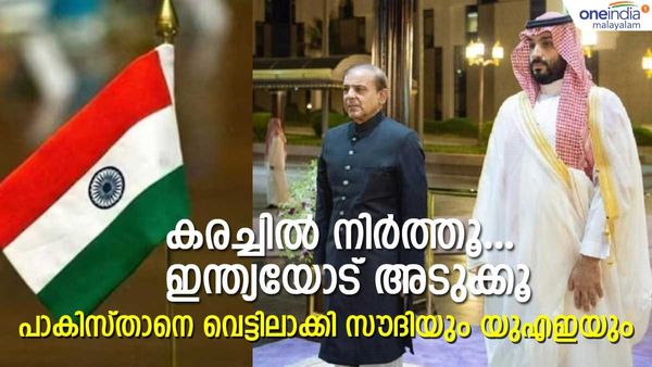കശ്മീര്‍ മറക്കൂ, കരഞ്ഞിട്ട് കാര്യമില്ല!! പാകിസ്താനെ വിറപ്പിച്ച് സൗദി അറേബ്യയും യുഎഇയും