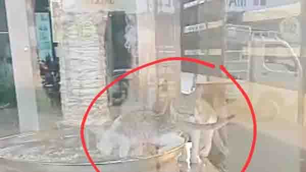 ഷവര്‍മ്മ സ്റ്റാന്‍ഡില്‍ പൂച്ച കയറിയ സംഭവം; പയ്യന്നുരിലെ വിവാദ ഹോട്ടല്‍ അടപ്പിച്ചു