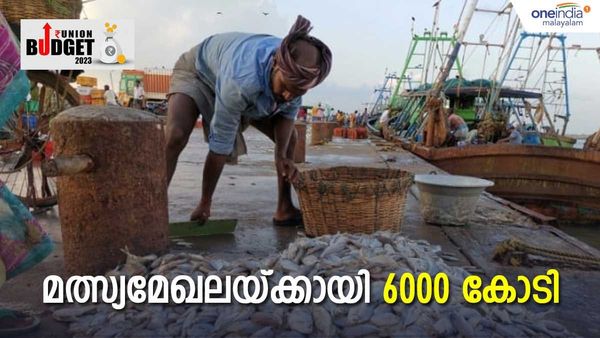 ബജറ്റ് 2023: മത്സ്യബന്ധന മേഖലയ്ക്ക് 6000 കോടിയുടെ പുതിയ പദ്ധതി: ഹോര്‍ട്ടികള്‍ച്ചറിന് 2200 കോടി
