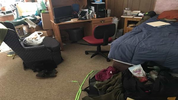 എന്തൊരു ക്യൂട്ടാണ് ഈ പപ്പി, കഴുകന്റെ കണ്ണുകളാണെങ്കില്‍ നായയെ നൈസായി കണ്ടെത്താം, 6 സെക്കന്‍ഡുകളുണ്ട്!!