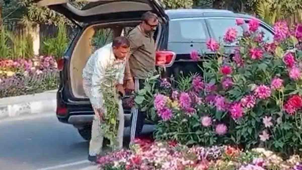 വിഐപി നമ്പര്‍ പ്ലേറ്റുള്ള ആഡംബര കാറിലെത്തി മോഷണം; മോഷ്ടിച്ചത് ജി 20 ഉച്ചകോടിക്കായി എത്തിച്ച പൂച്ചട്ടികള്‍