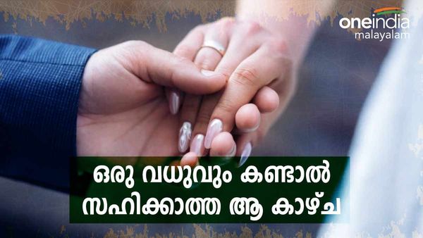 ആ കാഴ്ച കണ്ട വധു ഞെട്ടി; വരനും വരന്റെ അമ്മയും ബാത്ത്‌റൂമിനകത്ത്! ആരും പ്രതീക്ഷിക്കാത്ത കാഴ്ച