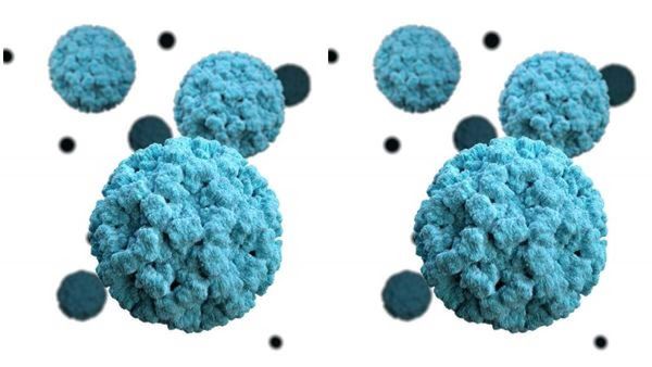 വീണ്ടും നോറോ വൈറസ് ബാധ; പെരിന്തല്‍മണ്ണയിലെ നഴ്‌സിംഗ് വിദ്യാര്‍ത്ഥിക്ക് രോഗം സ്ഥിരീകരിച്ചു