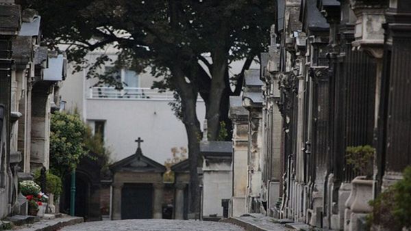 കള്ളിപൂച്ച അതാ ഓടിപ്പോകുന്നു, കണ്ടുപിടിക്കാന്‍ ശ്രമിച്ചാലോ; 9 സെക്കന്‍ഡില്‍ കണ്ടെത്തണം