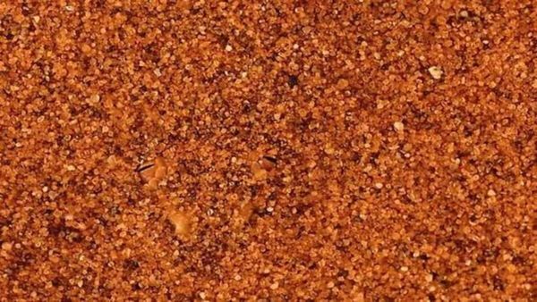 ഉഗ്രനൊരു വിഷപാമ്പ് അതാ, സൂക്ഷിക്കണം ഒളിഞ്ഞിരിപ്പാണ്; 4 സെക്കന്‍ഡിനുള്ളില്‍ കണ്ടെത്തണം