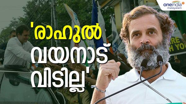 രാഹുല്‍ വയനാട് വിടില്ല; ഇത്തവണയും രണ്ടിടത്ത് മത്സരിച്ചേക്കും, രണ്ടാം അങ്കത്തിന് 8 സിറ്റിങ് എംപിമാരും