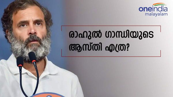 സ്വന്തമായി വീടില്ലാത്ത രാഹുൽ ഗാന്ധിയുടെ ആസ്തി എത്രയാണ്? വയനാട്ടിൽ സത്യവാങ്മൂലത്തിൽ നൽകിയ ആസ്തി വിവരം ഇങ്ങനെ