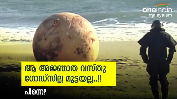 ജപ്പാൻ തീരത്തെ വിചിത്ര വസ്തു കരുതിയത് പോലല്ല! ഒടുവിൽ ആ സത്യം പുറത്ത്...