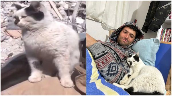 തുര്‍ക്കിയില്‍ പൂച്ചയെ രക്ഷിച്ച് രക്ഷാപ്രവര്‍ത്തകര്‍; വിട്ടുപോകാതെയുള്ള സ്‌നേഹപ്രകടനം വൈറല്‍