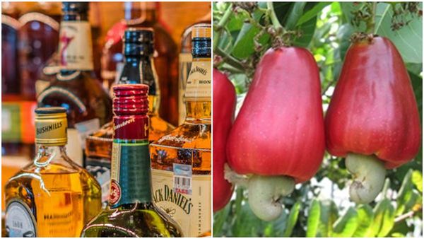 പഴത്തിൽ നിന്ന് വീര്യം കുറഞ്ഞ മദ്യം, ആ പരീക്ഷണത്തിന് ആളില്ല! അപേക്ഷകരില്ല