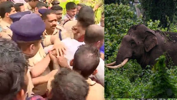 കാട്ടാനക്കലിയില്‍ ഇല്ലാതായത് പൊന്നുപോലെ നോക്കിയ അച്ഛന്‍, അനാഥരയായി രഘുവിന്റെ മൂന്ന് മക്കള്‍ 