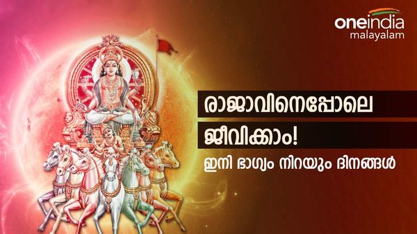 ഈ രാശിക്കാരാണോ നിധി കിട്ടും; എണ്ണിയാൽ‌ തീരാത്ത പണം; ഭാ​ഗ്യം സൂര്യന്റെ രൂപത്തിലെത്തും